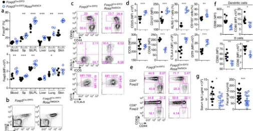 Figure 3. Increased proliferative and suppressor activity of T