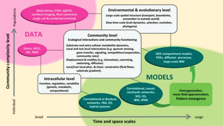 Figure 1Linking MC research questions with data and modelling. Research areas, plotted according to their complexity and temporal orspatial scale, form the link between data of different forms (magenta) and modelling formalisms (dark green)