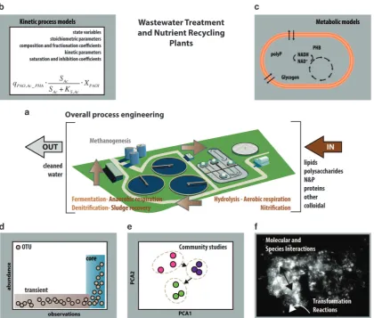 Figure 3MC analysis and predictive modelling in wastewater treatment and nutrient recycling facilities (WWTP)