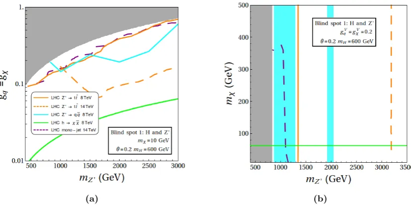 Figure 3. (a) Interplay of LHC constraints for the blind spot parametrized by eq. (3.5) in the (mZ′,gVχ/q) plane