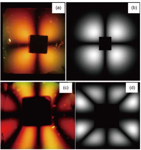 Figure 5. Comparisons between light patterns and simulations using polarized light with the Ferrocell