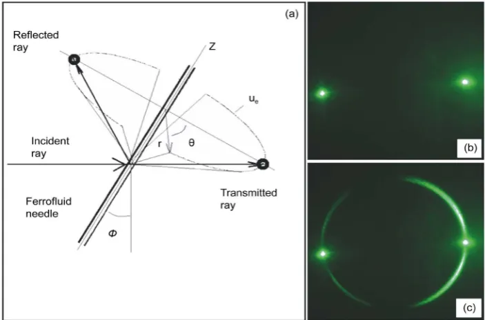 Figure 6. The diagram of the laser scattering with the parlaseric circle with the laser dog pattern with nanoparticles forming a needle in (a)