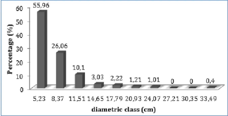 Fig. 5: Diameter distribution of tree individuals with DBH ≥ 4.77 cm (Cbh ≥ 15 cm) sampled