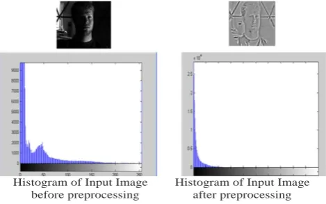 Figure 4 Difference between the histograms before and  after preprocessing of the image  