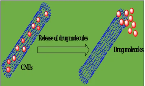 Figure 4. SEM image of mesoporous silica nanoparticles.1 