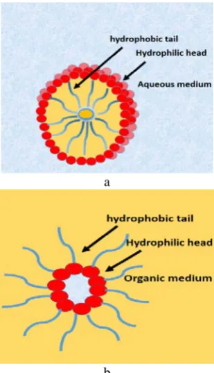 Figure 10. Structure of (a) micelle and (b) reverse micelle. 