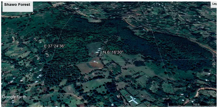 Figure 1: Location of study area: Shawo Forest 