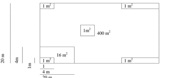 Figure 2:  Quadrat design  for  filed data collection:  (a) 20m X 20m  main  quadrat  for Plants DBH&gt;  5 cm, (b) 4m  X 4m Plot  for  saplings (c) 1m X 1m  for Soil,  Liter Grass  and  Herbs  nested  five plots  four plots in corner and one plot  in  mid