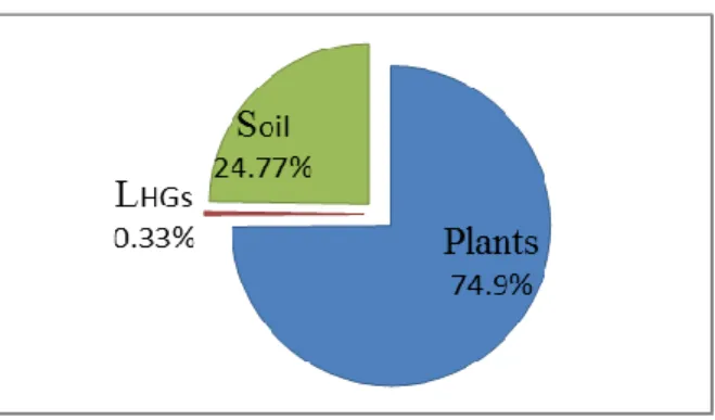 Figure 4: Share of total carbon stock (%) in different carbon pools 