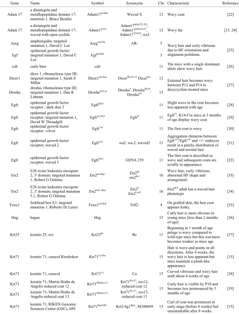 Table 1. Genes mutations causing the morphogenetic waves. 