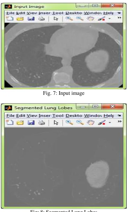 Fig. 7: Input image 