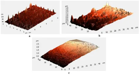 Figure 1 demonstrates the chemical activation being able to change the surface morphology