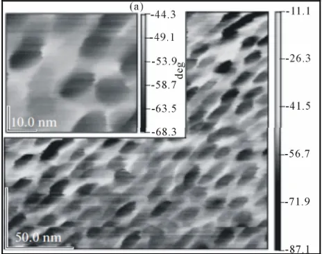 Figure 1. Electron microscope image (JSM6490LA) of MS por-Si [1]. Sample p-Si (100) with resistivity of 0.01 Om·sm