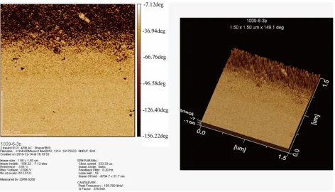 Figure 3. Atomic-force image of the secondary porous layer formation on surface p-Si (100), tetch = 60 min