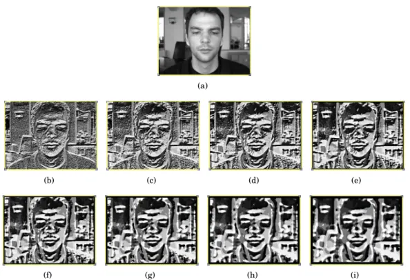 Figure 2.1. Illustration of the MB-LBP feature map feature maps for the original image (a)