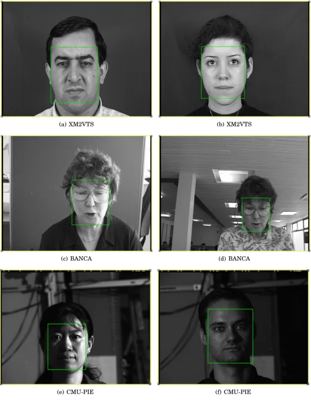 Figure 5.2. Illustration of typical training face images from the XM2VTS (a, b), BANCA (c, d) and CMU-PIE (e, f) datasets.