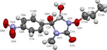 Figure 2. Molecular structure of 4(4-nitrophenyl)-3-propyloxyimidazolidin-2-one (S,5S-4,5-dihydroxy-1-methyl-5-14aA) with atoms represented by thermal vibration ellipsoids of 50% probability level according to the data of X-ray structural analysis
