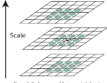 Figure 2. Nonlinear  LGNScale space frame   