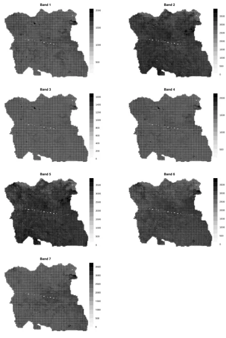Fig. 4.  Inputs into land cover classifications: the MODIS imagery  