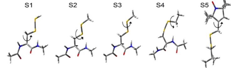 Fig. 1  Structure of the Aurora-A kinase domain with the MTSL side roline ring containing the nitroxide group highlighted in chain (black circle) attached at position 288 within the activation loop which comprises residues 274–299 (grey)