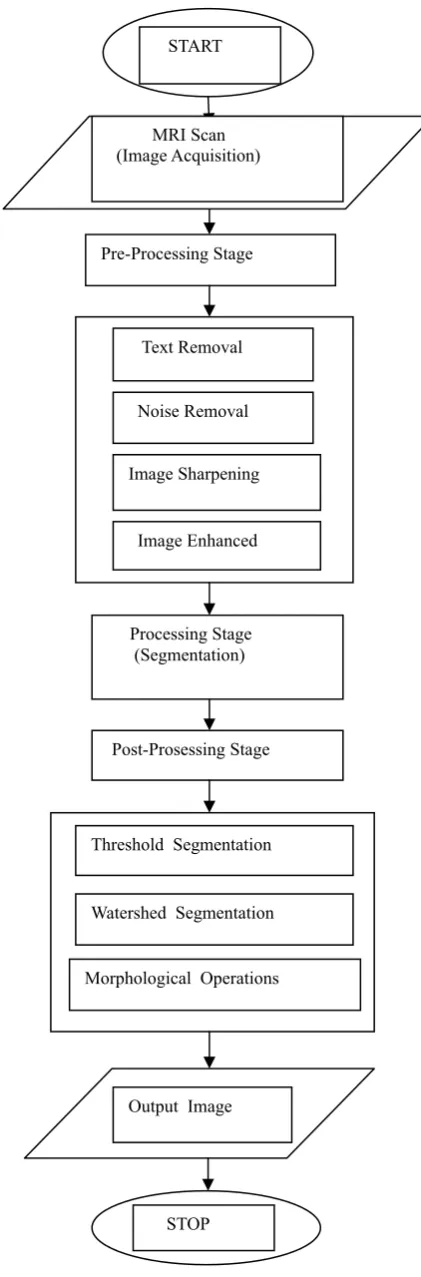 Fig 2 : Steps Of Tumor Detection 