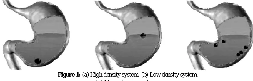 Figure 1: (a) High density system. (b) Low density system. (c) Mucoadhesive systems. 