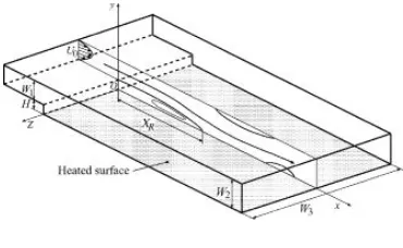 Fig.2. Facing Step Channel [2]. 