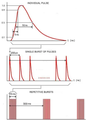 Fig. 7. Electrical Fast Transient (EFT) – fast pulse (IEC 61000-4-4). In Table 1 of this standard the amplitude of  test voltage for HEMP (listed as Special) is indicated with ―X‖ and corresponds to the levels E8 and E9