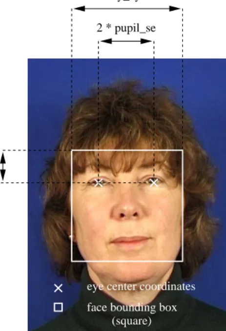 Figure 2.11. Face bounding box determined by face anthropometric measures defined in [17].