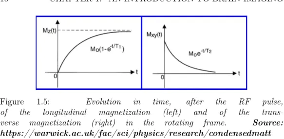 Figure 1.5: Evolution in time, after the RF pulse, of the longitudinal magnetization (left) and of the  trans-verse magnetization (right) in the rotating frame