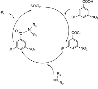 Figure 2.The plausible reaction mechanism 
