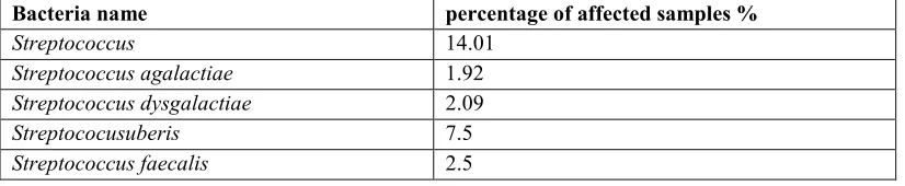 Table (1): the results of Culture of  Streptococcus type on culture medium 