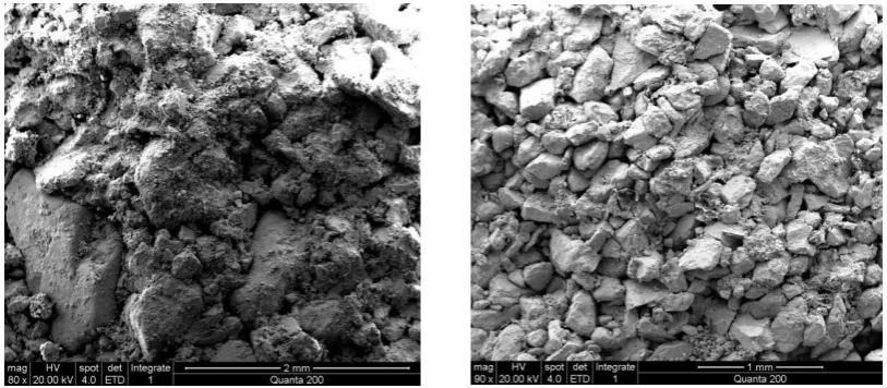 Fig 1 Contrast of scanning electron microscopy under different washing strength (left weak washing, right strong washing) 