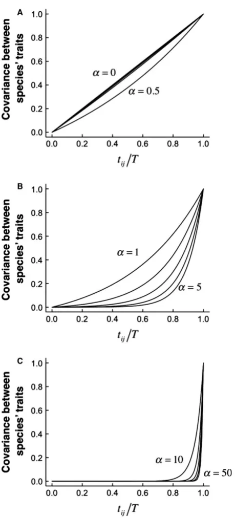 Figure 4. Scaling of expected trait similarity with timesince evolutionary divergence predicted by the OrnsteinUhlenbeck model