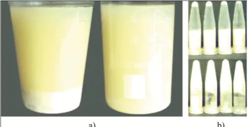 Fig 2. Hydration and structuring of proteins  