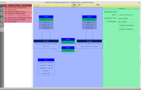 Fig. 4 The Component Creation interface showing the FSI Componentfor the Striatal Model with the main UI elements highlighted by colours.Red: list of Components in the current Project and buttons for new/add/remove Components