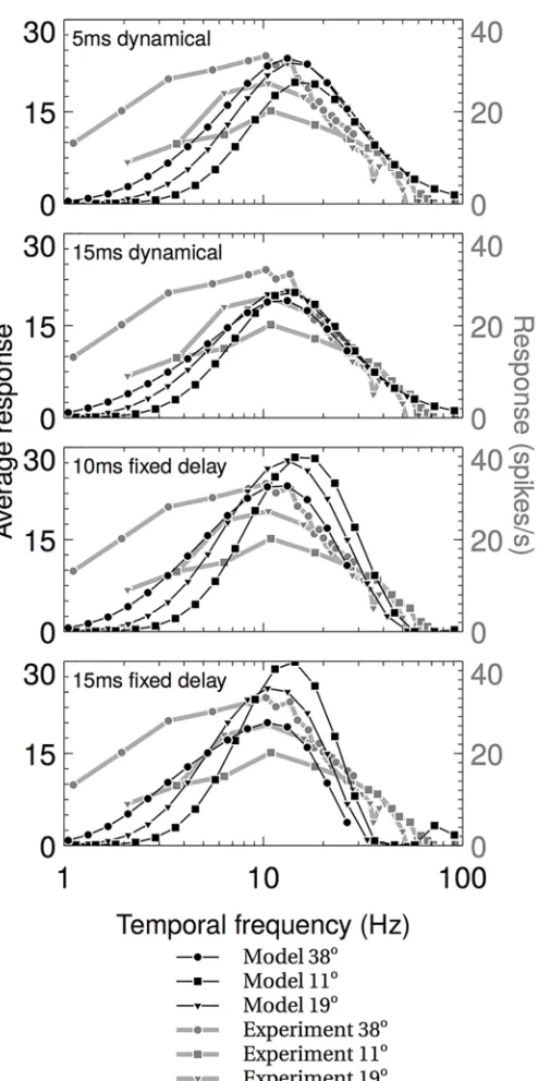 Fig 7. The average responses of the component RHD-LIN detectors for several spatial frequenciescompared to experimental data of optomotor neurons