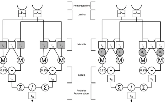 Fig 2. The two versions of the AVDU detector. Left: with dynamic time constants; right: with delays