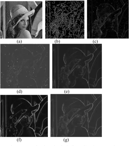 Figure 5.  anti-noise order morphology edge detection including salt and pepper noise 0.3 