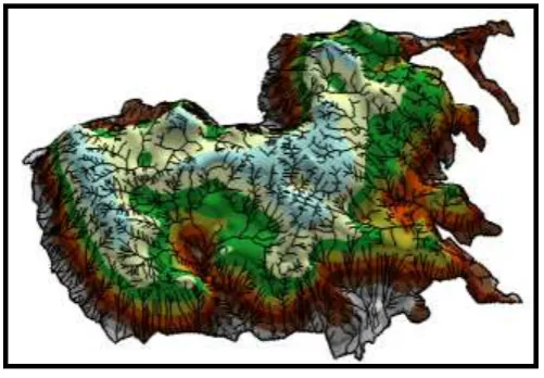 Fig. 8. Digital Elevation Model of the study area.  