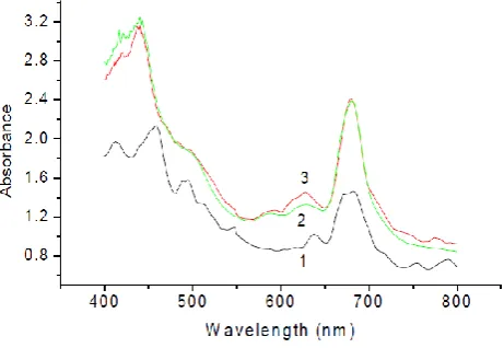 Figure 6. Linearized Freundlich adsorption isotherms of Pb(II)–Spirulina platensis in nutrition medium (Cb is binding metal concentration, mg g-1, and Ctotal is initial Pb concentration