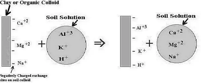 Fig. 2. Visual observation of the movement of ions caused electrokinetics process on clay sample (a)