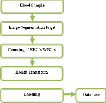 Fig. 1: Flowchart of Proposed Trained system 