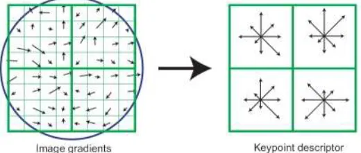 Fig. 1: A particular key-point                                                                                                                                         Gaussian-blurred image