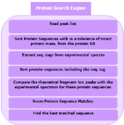Figure 2.The process of matching ions with protein in a proteindatabase