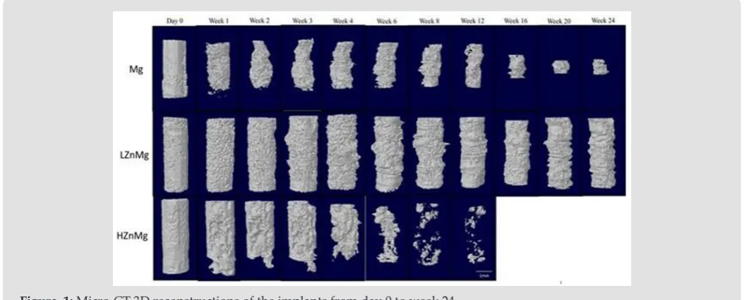 Figure  1: Micro-CT 3D reconstructions of the implants from day 0 to week 24.