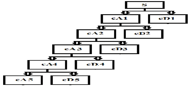 Fig.  1:  Discrete wavelet transform decomposition tree from decomposition level 5 