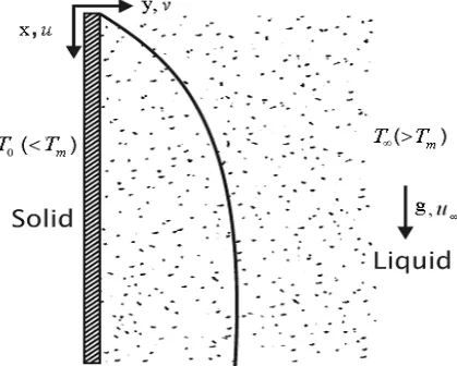 Figure – 1: Schematic representation of the problem 