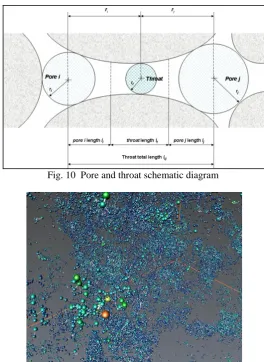Fig. 12                                                                             Fig