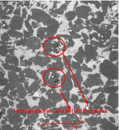 Fig. 14 Types of reservoir space under 2D gray scale images (resolution 1.0664 um)   
